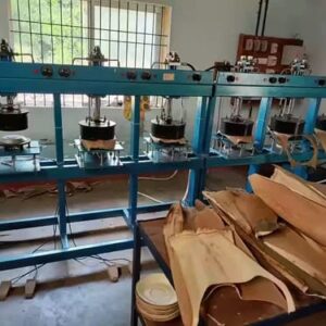 Areca Leaf Plates & Cup Making Machine